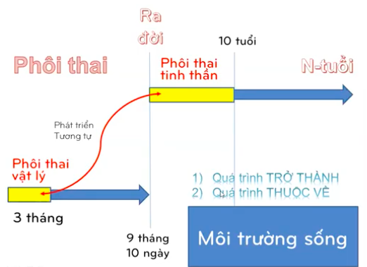 phoi thai vat chat tinh than